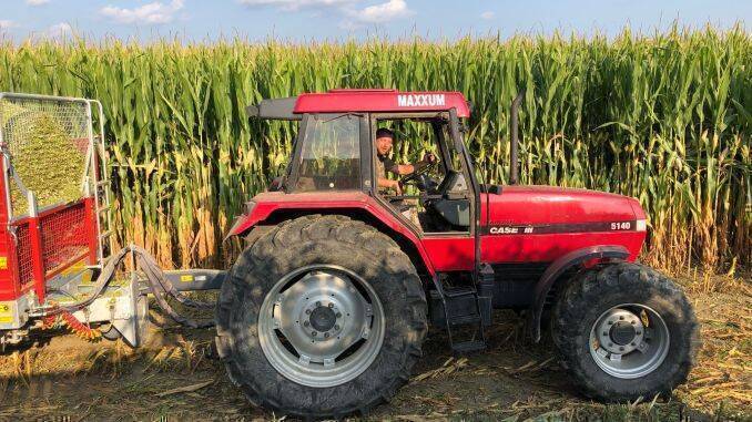 Fermierii Kiss Sandor și Kis Cs Csaba 80 t/ha, a fost obținută cu acest hibrid în  localitatea Cristuru Secuiesc, județul Harghita .