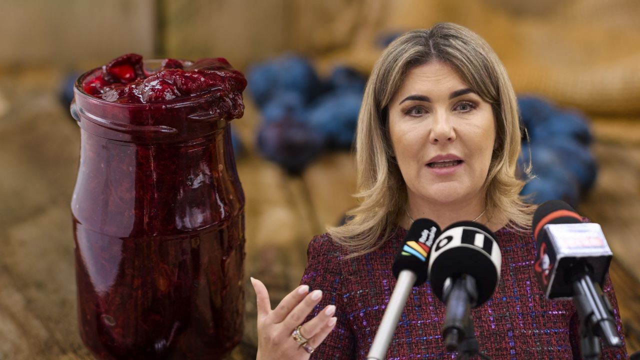 Gianina Șerban, deputat AUR