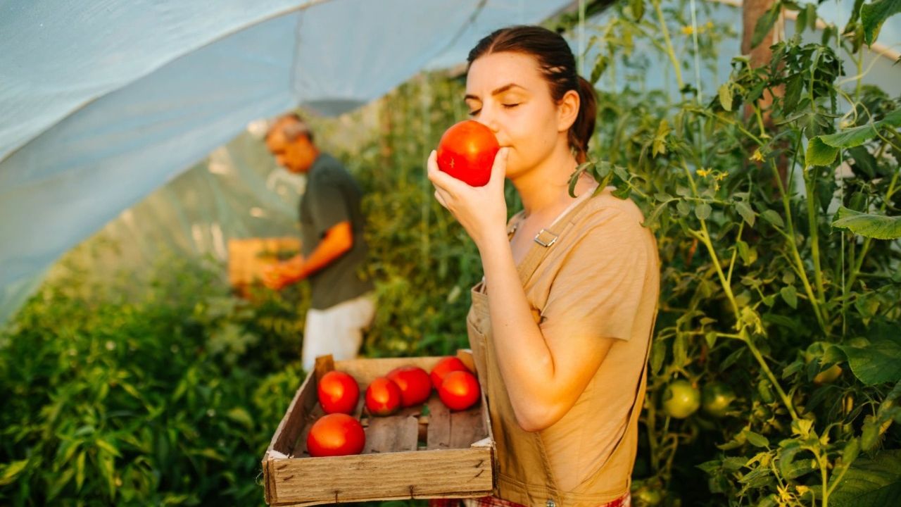 Lege pentru ferma mică bio