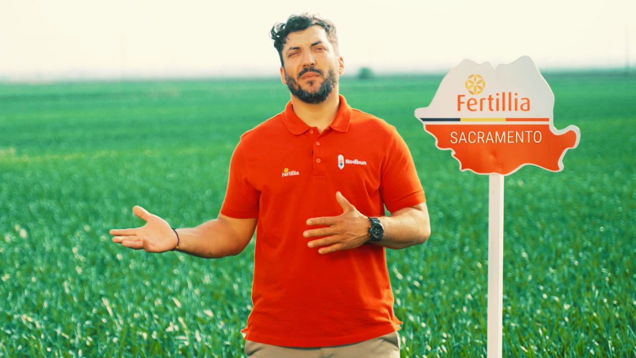 Florin Migdan într-un lan de grâu Sacramento