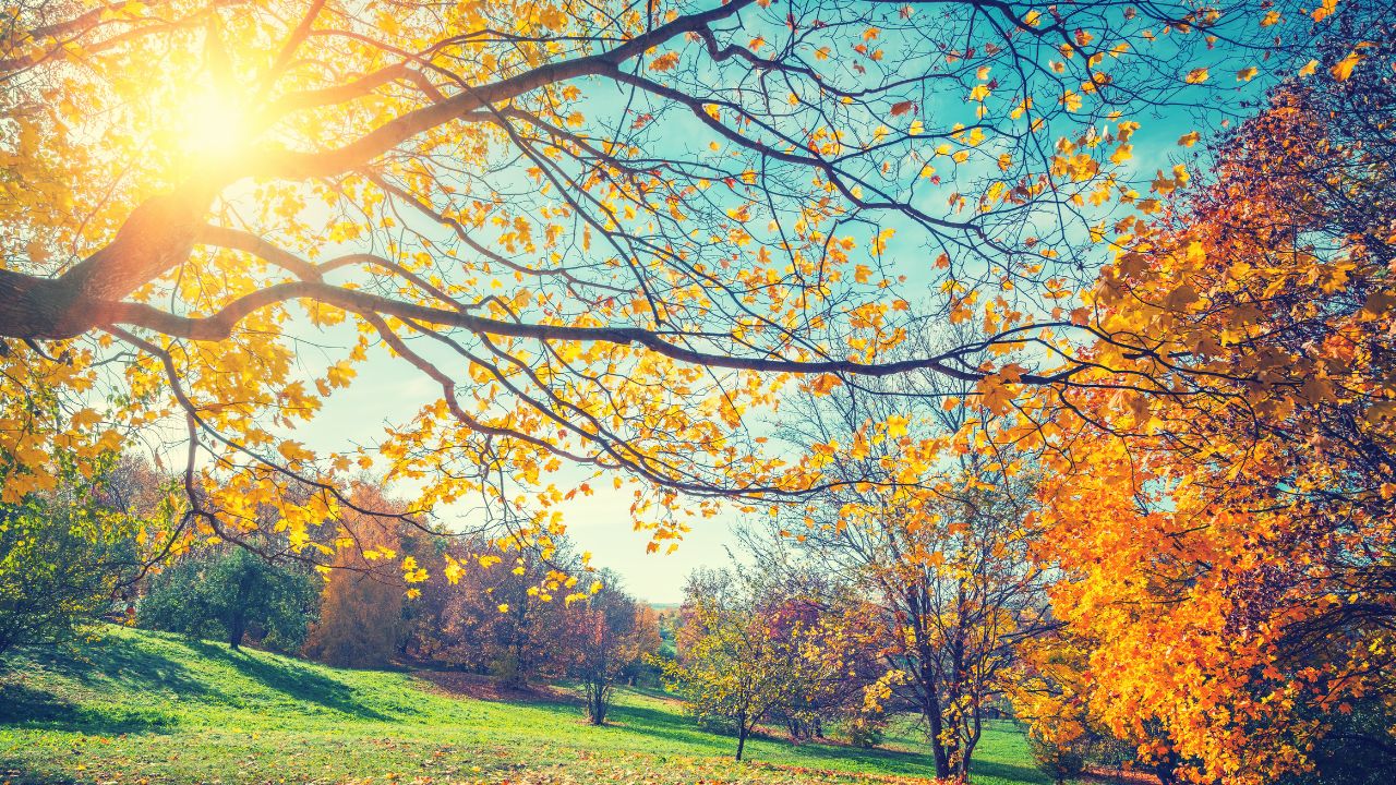 Vreme în miezul toamnei