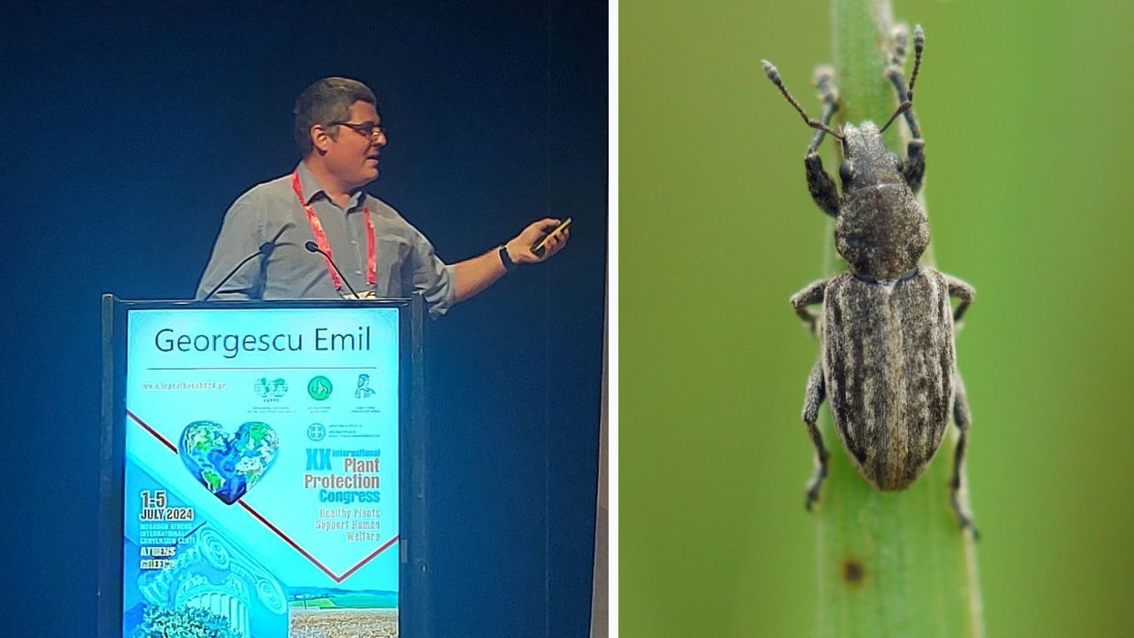 Emil Georgescu, expert entomolog