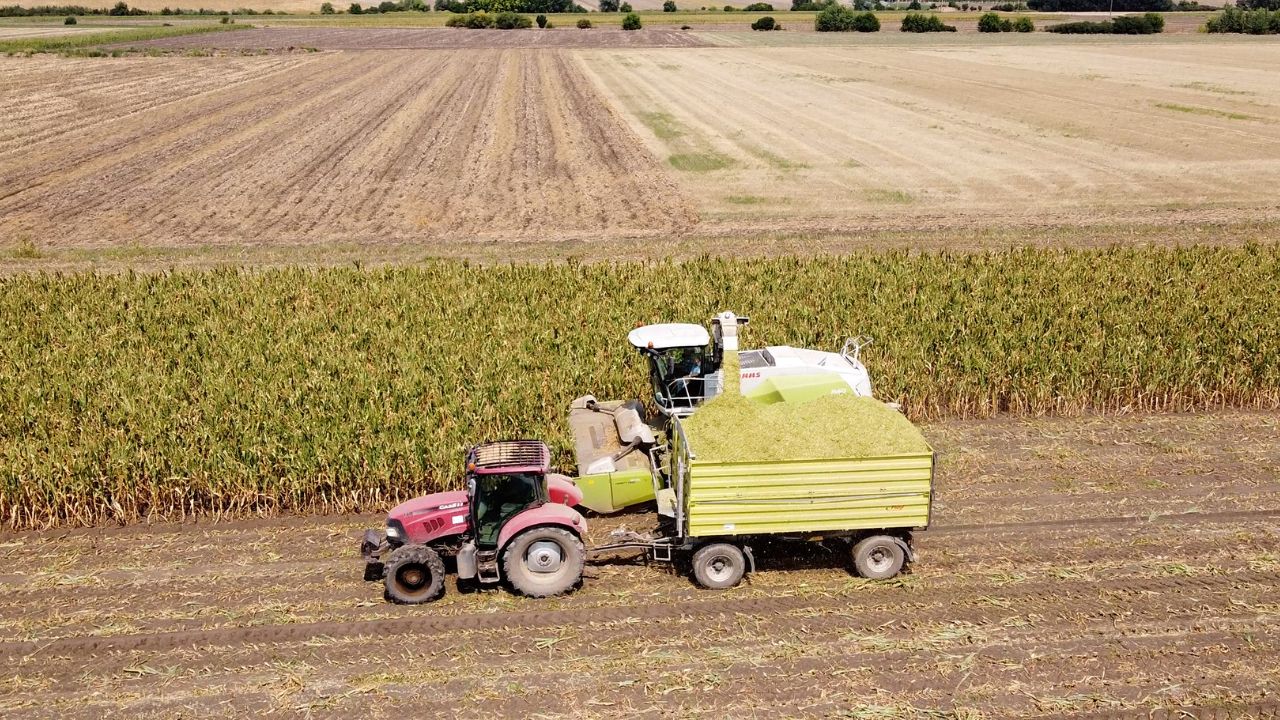 Termen final pentru finanțările prin PNDR