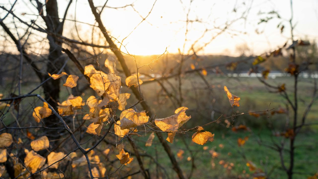 Vremea în ultima săptămână de noiembrie