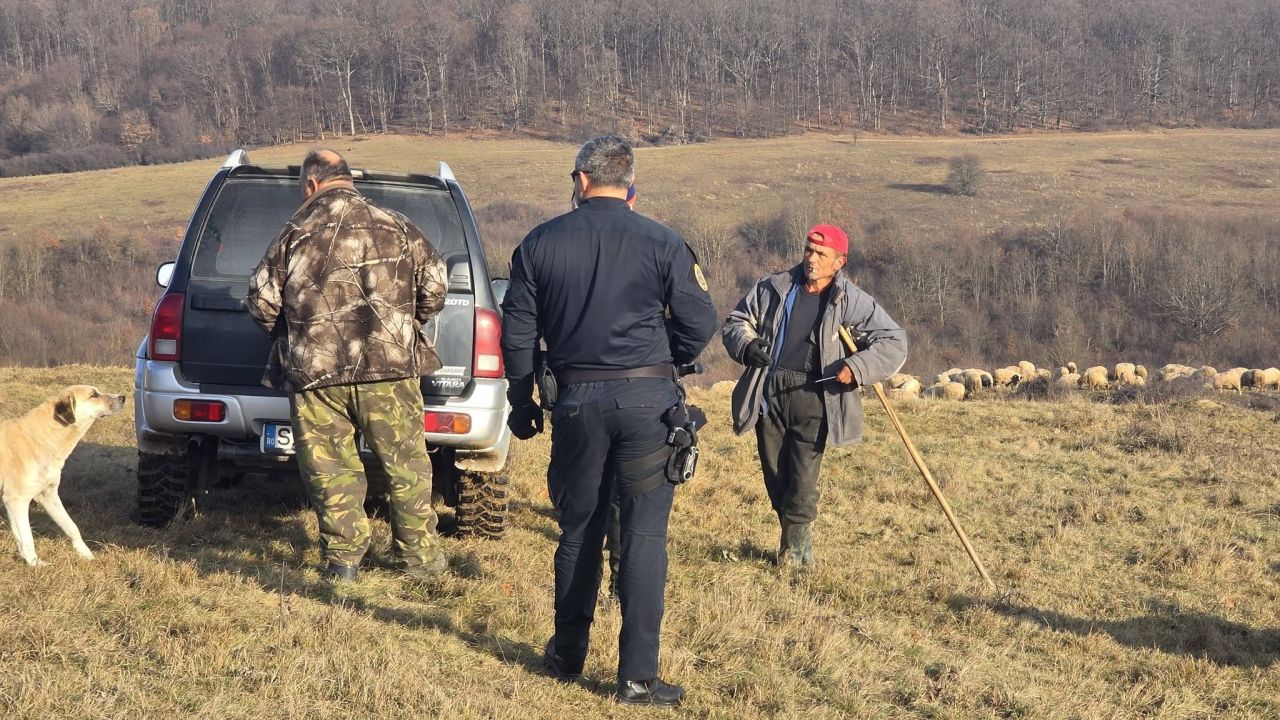 Control la o stână de oi