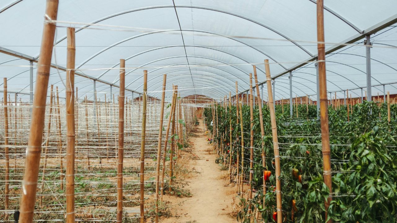 Impozitul pe solar, amânat