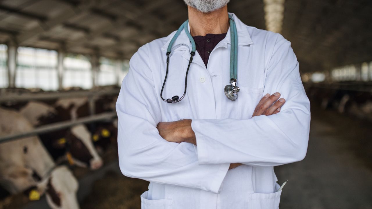 Medic veterinar concensionar