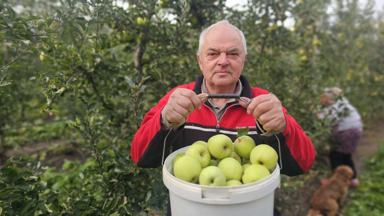 Ioan Jula - pomicultor din Cisnădie, județul Sibiu