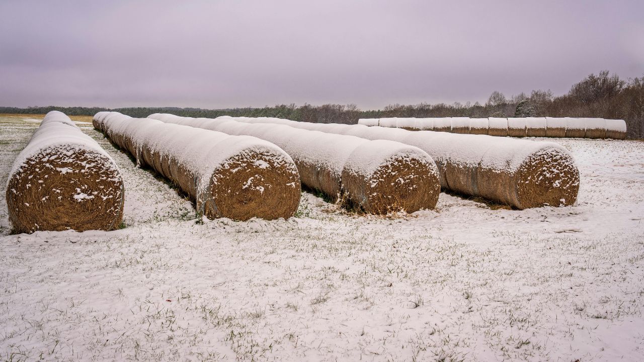 Impozite pe terenul agricol