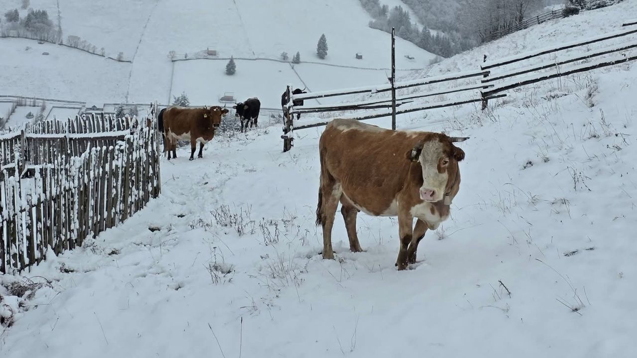 Impozitele aplicate fermierilor s-au majorat