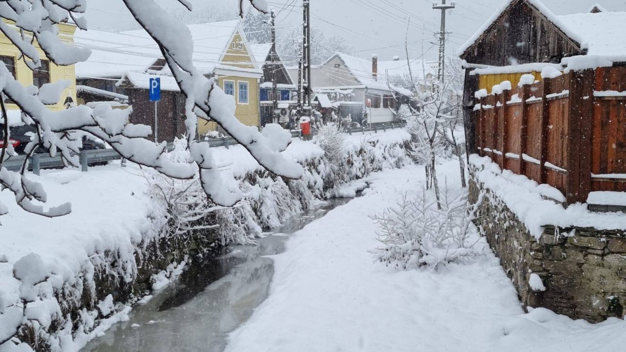 Ninsoare puternică. Foto în Sibiel, județul Sibiu