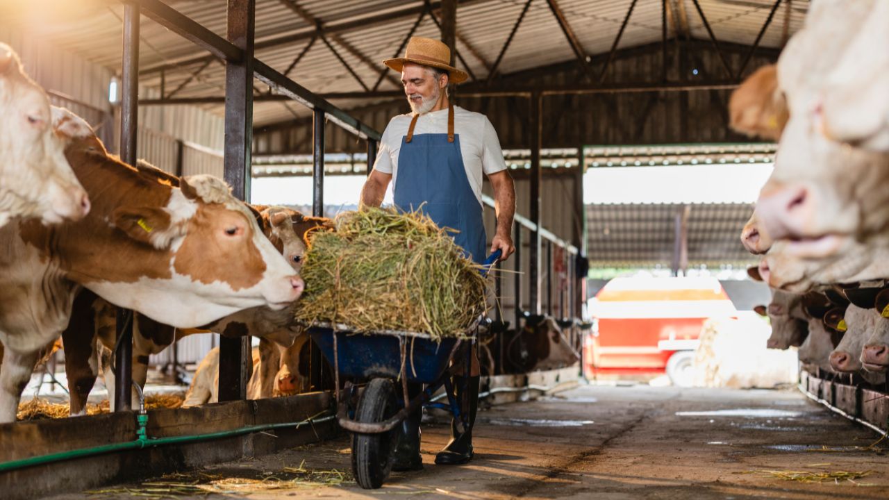 Sprijin pentru grupuri de producători