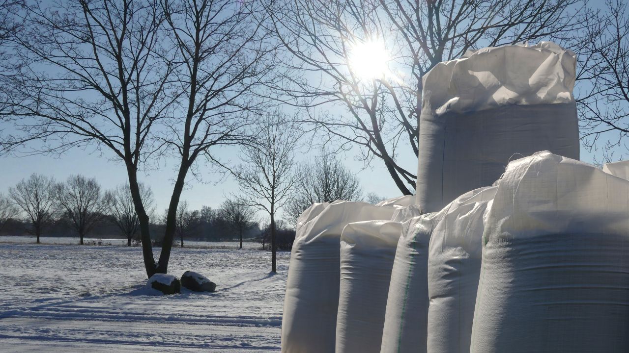 Fertilizare cu azot iarna