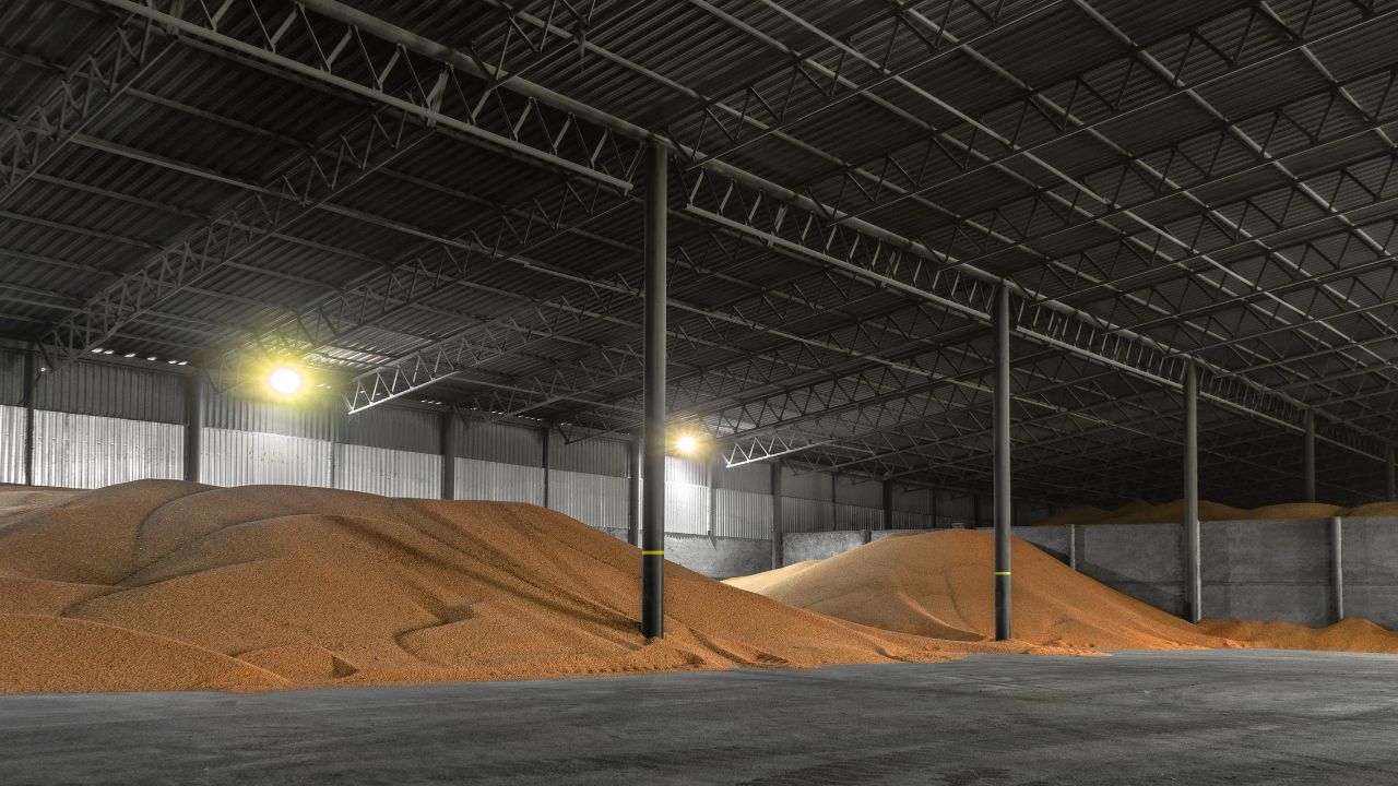 Prețuri în scădere la cereale