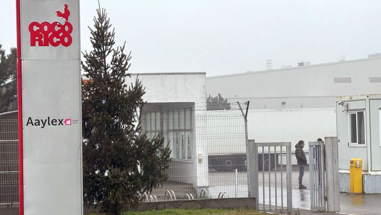 Sediul Aaylex - CocoRico din Buzău