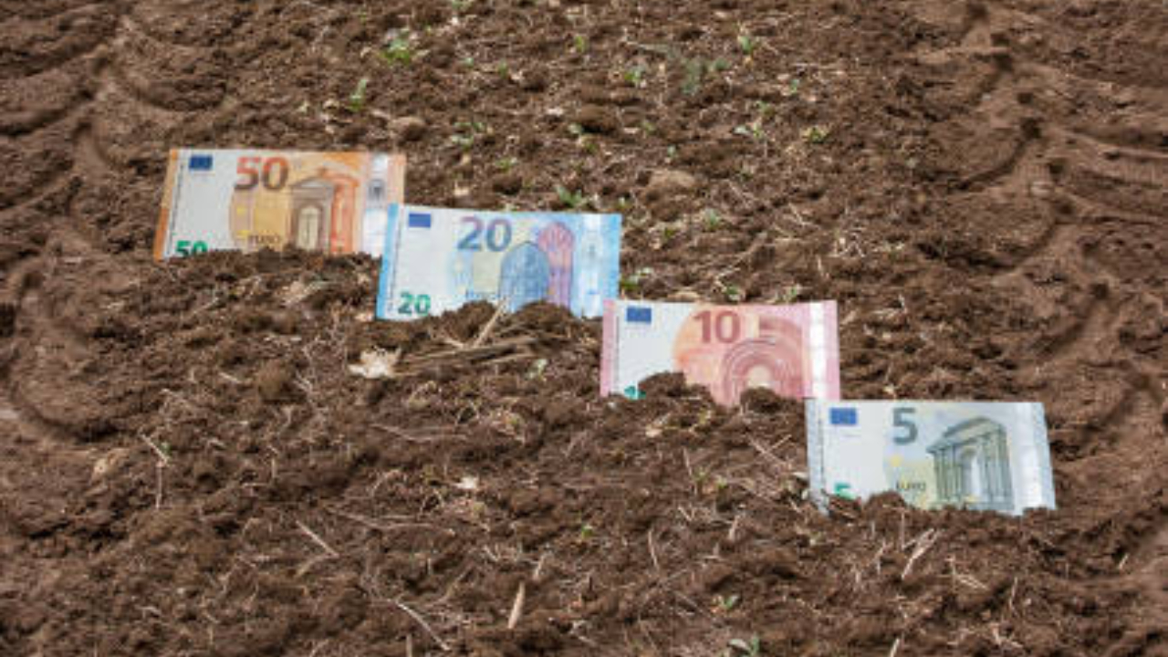 Suprafața minimă pentru subvenții