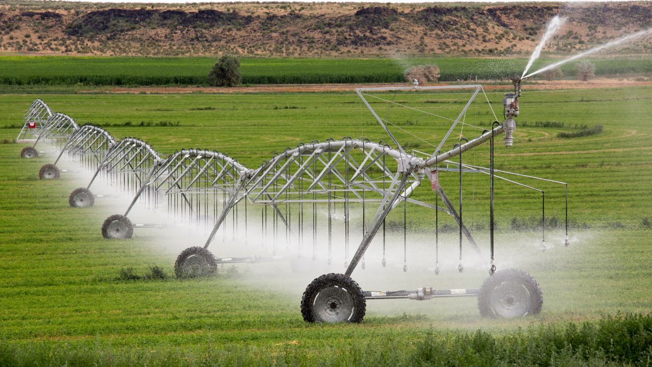 Teren agricol irigat