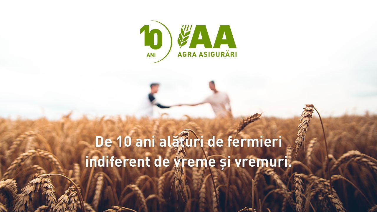 Agra Asigurări - profil de companie