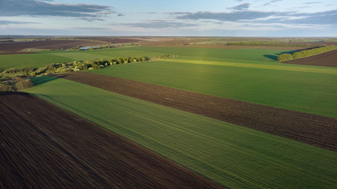 Fermă de vânzare cu teren agricol în proprietate