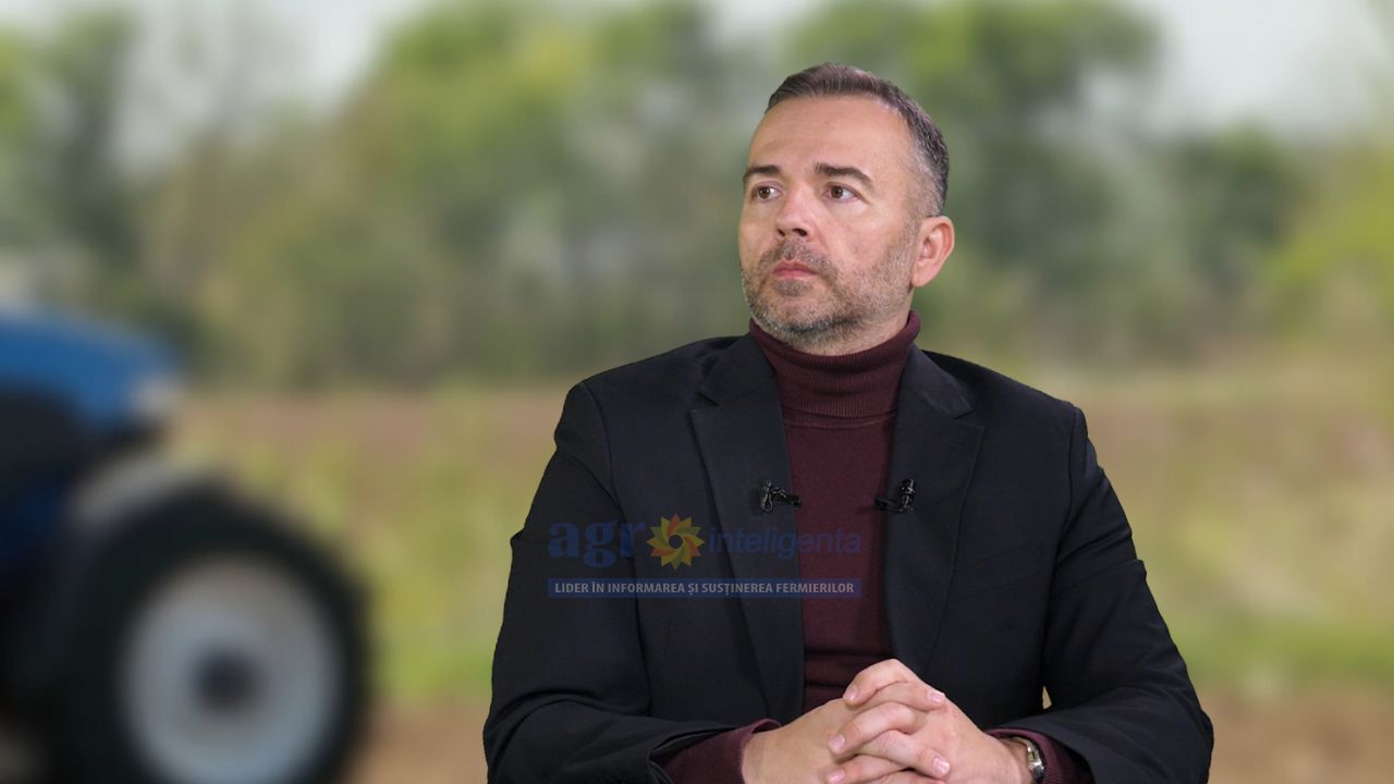 Florin Constantin, AGXecutive