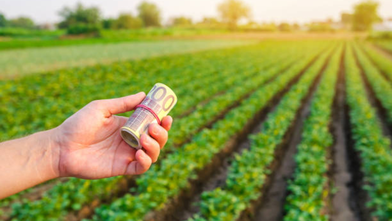 Subvenția de bază la APIA