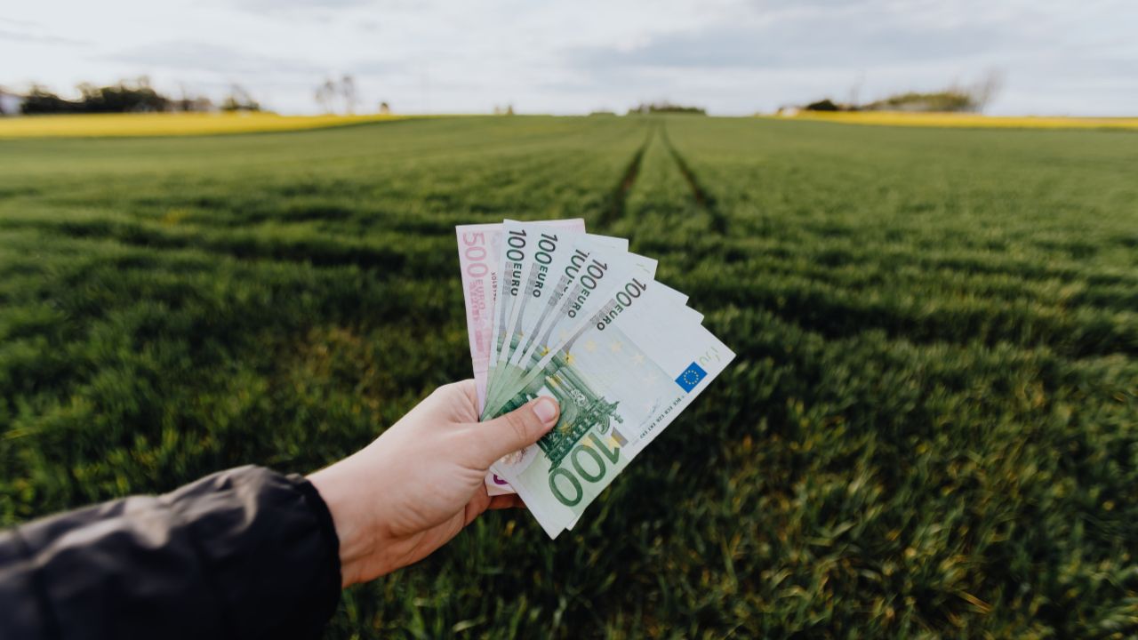 Noile reguli la APIA