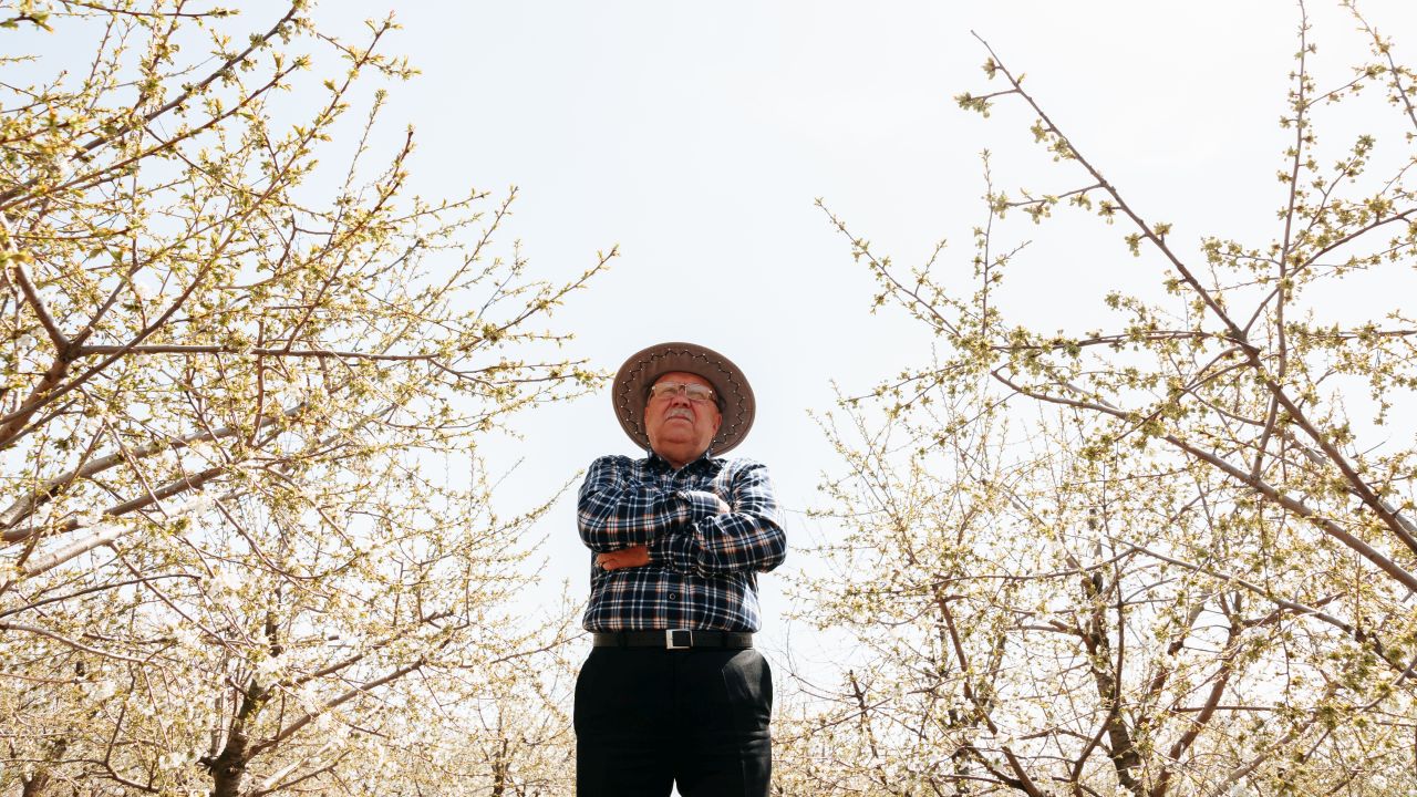 Fermier în livada înflorită