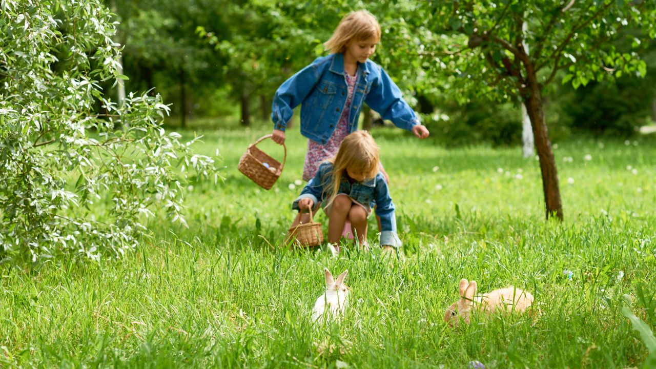 Vremea de Paști și de Florii