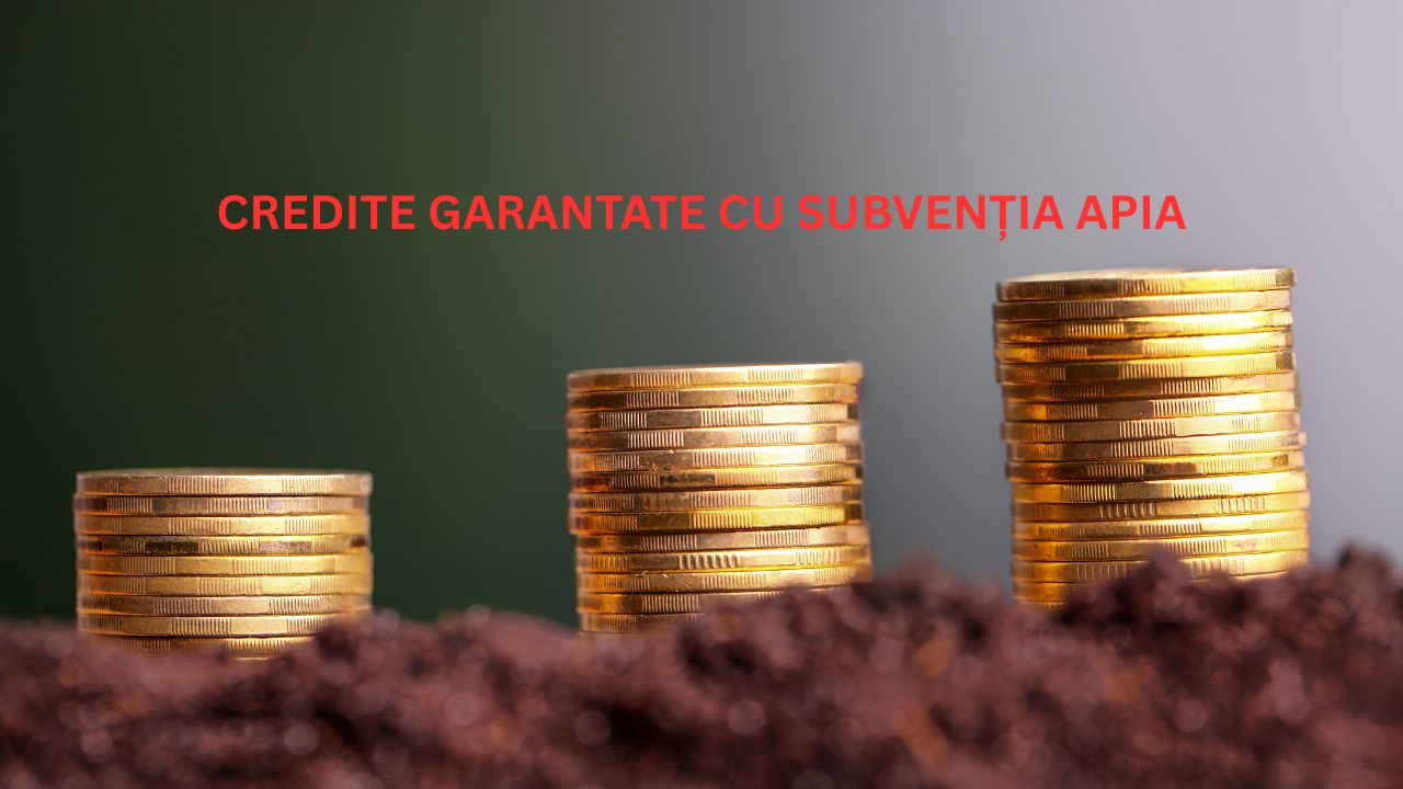 Credite garantate de APIA