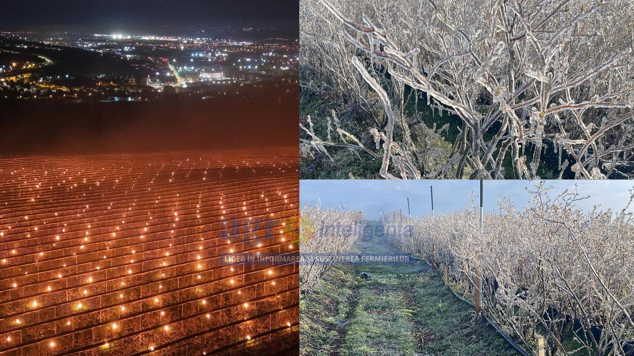 Soluții antiîngheț aplicate în ferme