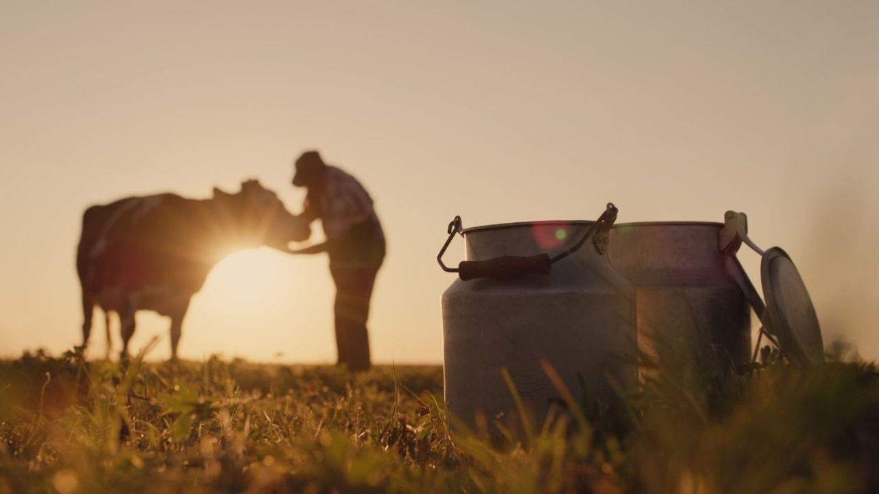 e-Factura pentru fermieri