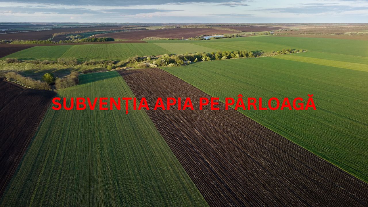 Subvenția APIA pe pârloagă