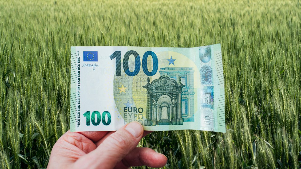 Cereri blocate la APIA