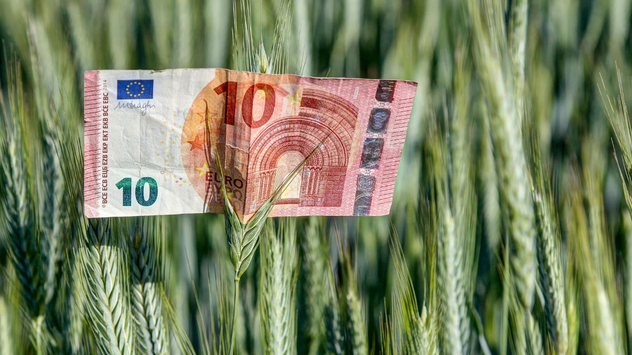 Ucraina este de acord să amâna accesarea subvențiilor agricole de la UE